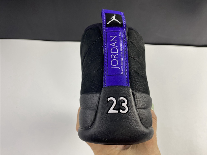 Air Jordan 12 Dark Concord(CT8013-005)